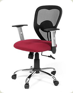 ������ ������� Chairman 451